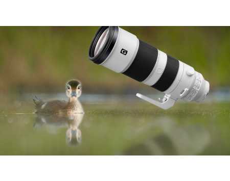 Sony FE 200-600mm f/5.6-6.3 G OSS Lens